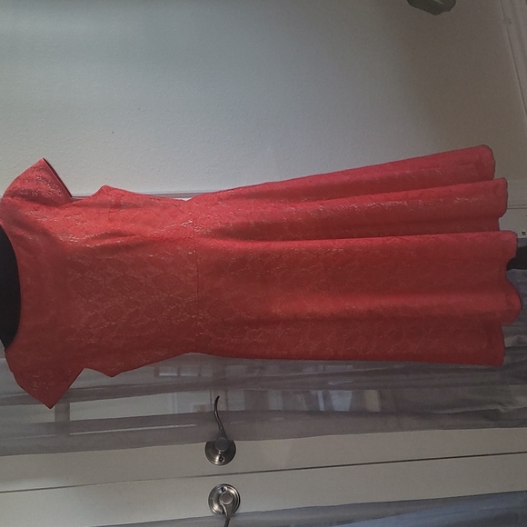 ❤️Evan Picone Women's Cap Sleeve  Lace Fit & Flare Dress - Tangerine Sz … - Picture 4 of 12